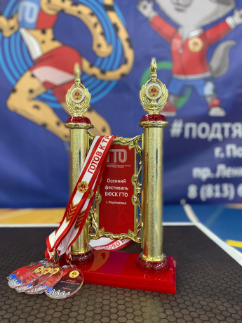 ОСЕННИЙ ФЕСТИВАЛЬ ВФСК "ГТО"🥇🥈🥉